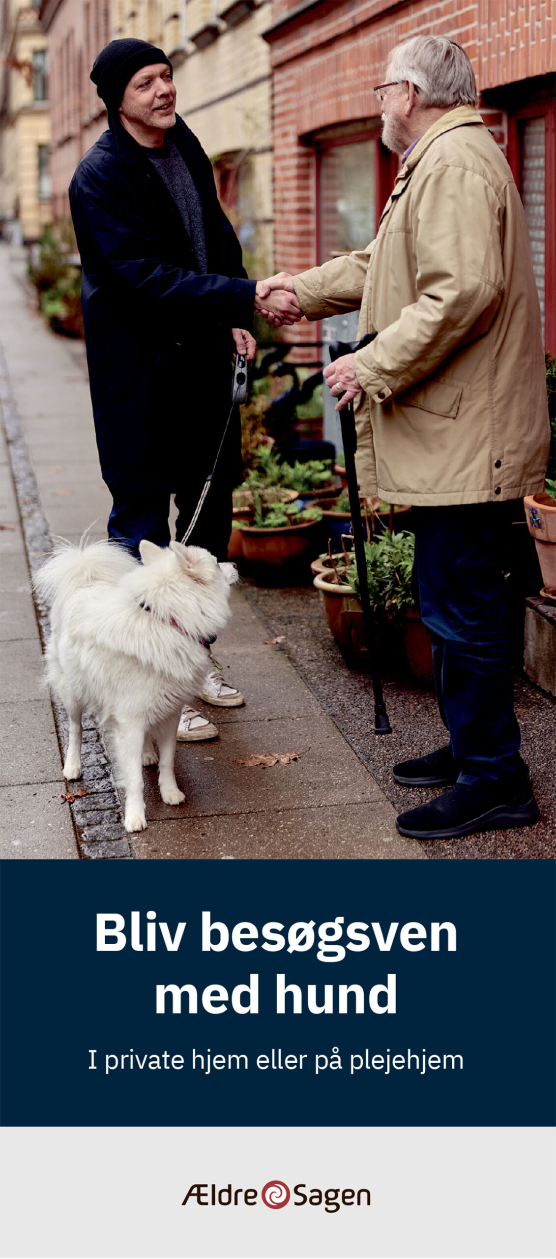 Bliv besøgsven med hund